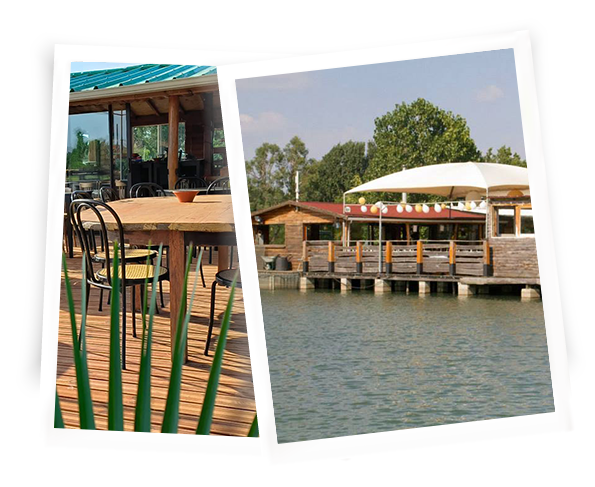 Montage-photo-du-camping