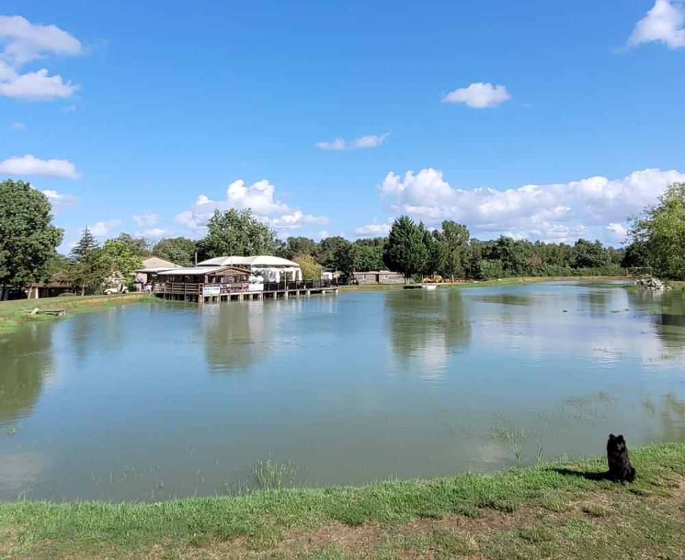 Camping bord de lac
